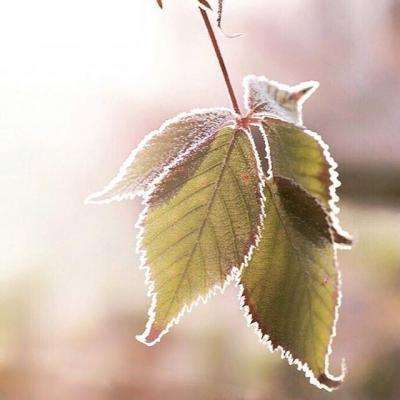 火狐体育APP体育app下载